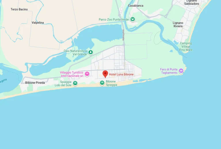 Anteprima Google Mpas
